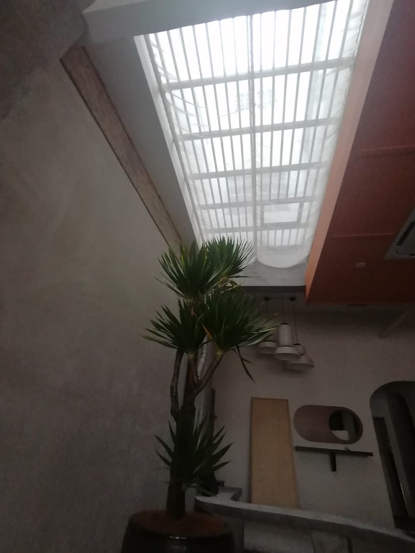SKYLIGHT SHADE